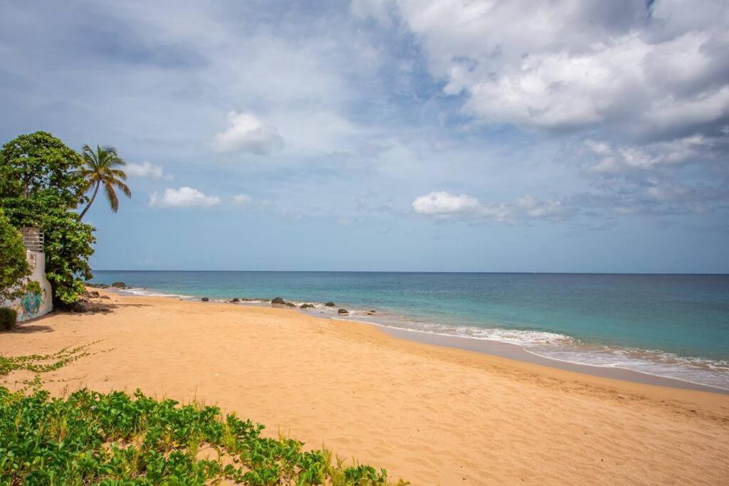 Vwe Moun Bay Appartement Deshaies Buitenkant foto